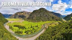 Fly Fishing Patagonia's Paloma River - WIND & Rainbow & Brown Trout on Big Dry Flies & Streamers