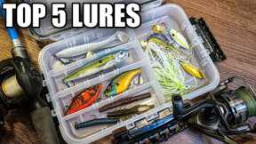 My Top 5 Fall Bass Fishing Lures (Bass Fishing for Beginners)