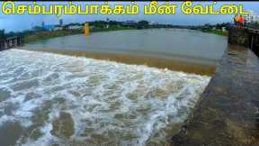 🎣🐟🛑Red Alert | 🌧️Chennai Rains | Chembarambakkam Lake opened | Fish Hunting |@Chennai Fishing Club