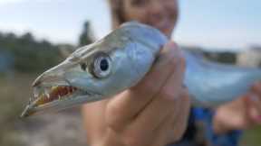 CRAZY TOOTHY DELICACY FISH!! RIBBONFISH CATCH CLEAN AND COOK