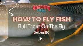 FLY FISHING: BULL TROUT ON THE FLY