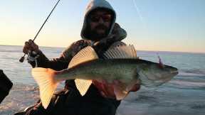 Early Ice Red Lake Walleye Fishing 2022 (LIMITS)
