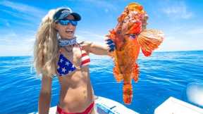 This Fish Can KILL You! Catch Clean Cook- DEADLY VENOMOUS Scorpionfish!