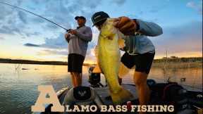 Alamo Lake Bass Fishing | Rain 🌧️