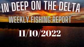 In Deep on the Delta Weekly Fishing report for 11/10/2022