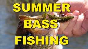 Summer Bass Fishing Techniques and Tips | Bass Fishing