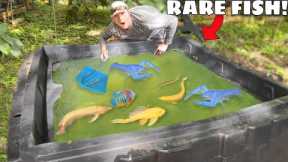 Rare Fish Found LIVING in GREEN SLIME POND!