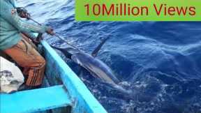 Blue Marlin Fishing Catching fish in Indian Ocean Handline Fishing