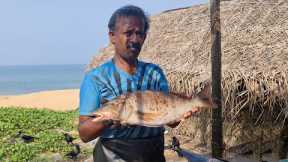 Fish Cutting Kasimedu Gait Fishing Cutting Skill Video By Fisherman | Fish Cutting Skill Nicely