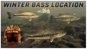 Where Bass Go in the Winter and When to Fish Them