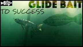 The Basics of Glide Bait Fishing Bass