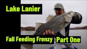 Lake Lanier Fall Feeding Frenzy Part One