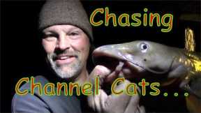 Channel Catfish Fishing Lake Shasta Style!