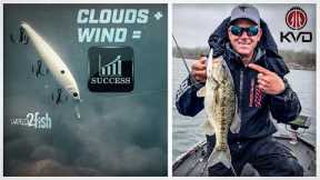 Jerkbait Bass Fishing with KVD | Wind and Overcast Tips