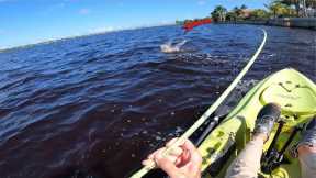 Found A Couple Big Fish By This Florida Sea Wall - All Day Kayak Fishing