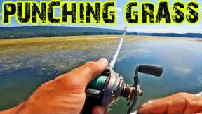 PUNCHING MATS OF GRASS On Lake Guntersville For BIG BASS!