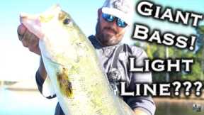 Lake O' The Pines Fall Bass Fishing: 7lb vs 17lb Line Challenge! Is Lighter Actually Better???