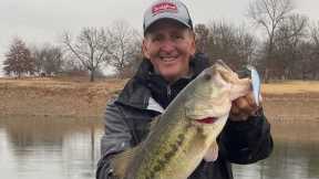 The ONLY Thing You Need To Know To Catch November Bass