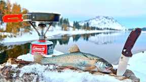 WINTER TROUT Fishing in REMOTE Mountain Lakes!!! (SOLO Catch & Cook)