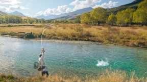 How to Fly Fish South Island New Zealand | Fishing Tips for the South Island Monster Trout