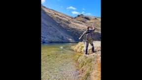 Fly Fishing 9lb Trout on dry fly
