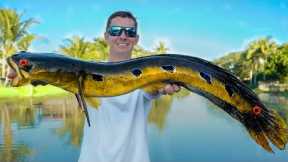 INVASIVE Fish are Taking Over...I'm Happy About it (Catch Clean Cook -Bullseye Snakehead)