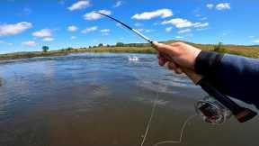 Fly Fishing in New South Wales for Brown and Rainbow Trout!