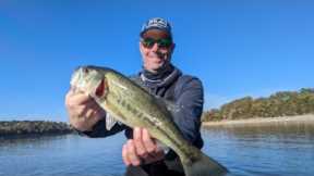 Table Rock Lake Video Fishing Report Oct  26, 2022