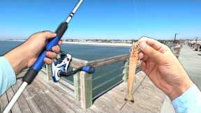 Eating Whatever I Catch.. PIER Fishing (Catch and Cook)