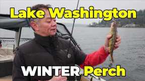 Lake Washington Winter Perch Fishing Tips - Extended Cut