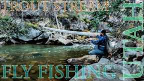 Fly Fishing Utah Trout Stream | Uinta Mountains, Brook Trout