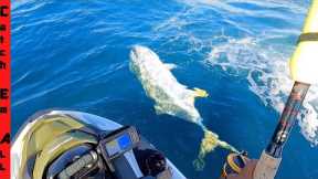 GIANT CANAL TUNA  caught on FISHING JET SKI! *Offshore jet ski fishing sea-doo fish pro set up*