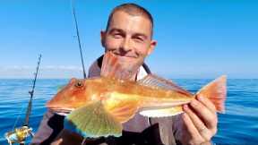 Gurnard Sea Robin Catch and Cook - Three Generations of family cook Seafood | The Fish Locker