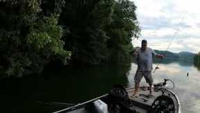First Time Fishing Boone Lake TN