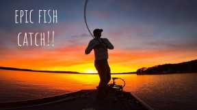 SCHOOLING BASS Crushes TOPWATER During EPIC SUNSET!!! || Lake Gaston Bass Fishing