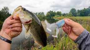 Pond Fishing Tricks! Fall Bass Fishing!