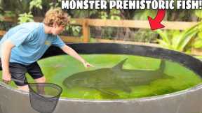 I Found a PREHISTORIC MONSTER in My POND!