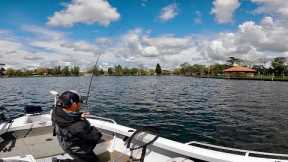 How Good Is This Trout Fishery! Fly Fishing on Lake Wendouree, Ballarat
