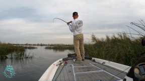 Fall Striped Bass Fishing the CA Delta for 3 DAYS