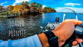 WIND BLOWN Point Was LOADED With AGGRESSIVE FISH!! || Fall Bass Fishing