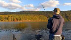 LAKE TROUT bite is on at RAYSTOWN LAKE! (How To) (Fall Fishing)