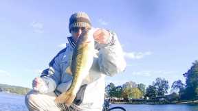 bass fishing logan martin lake mid October 2022