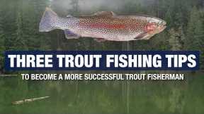 3 Advanced Trout Fishing Tips and Tricks - Become A Better Trout Fisherman