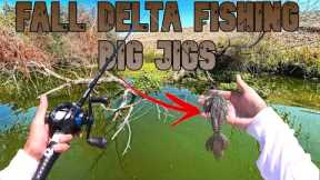 Fall Delta Bass Fishing | Flipping Big Jigs In Thick Cover | Fall Fishing Tips