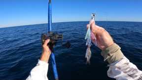 Offshore Fishing On Lake Atlantic - Epic Surprise Catch!