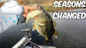 California Delta Bass Fishing.(SEASONS CHANGED)