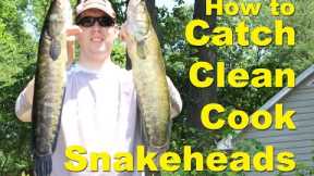 How to catch snakehead fish - How to cook snakehead -  snakehead fishing