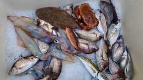 Gill Netting - Big Flatfish Catch Clean Cook  , Squid - Crabs & Great Boat Fishing