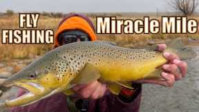 Fly Fishing Wyoming at THE MIRACLE MILE for LARGE TROUT on the North Platte River - Drift Fishing