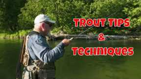 Small Stream Trout Tips & Techniques | Drift Outfitters